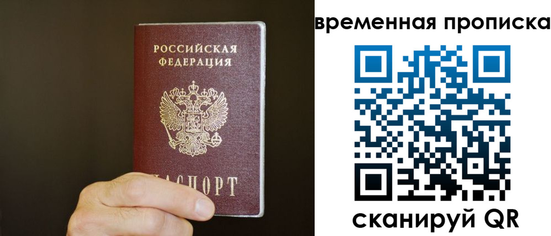 регистрация для школы в Брянской области